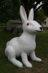 The white rabbit