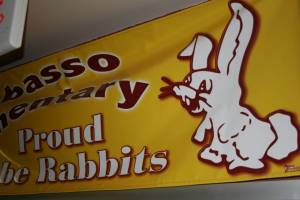 The rabbit we remember, the friendly rabbit of our era.