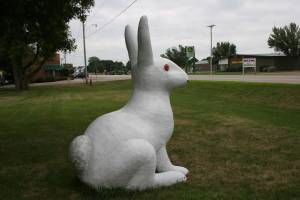 Wabasso rabbit