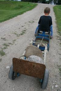 Pulling, not picking, rocks.