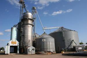 Morgan Grain & Feed, located in Morgan on the southwestern Minnesota prairie.