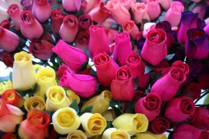 Roses Not real roses, but roses from China.