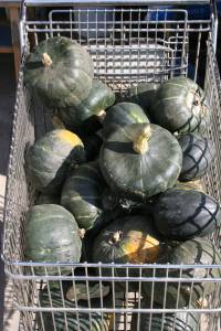 A shopping cart of squash awaits customers.