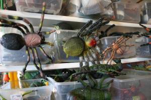 And for the bug lovers, there are plenty of creepy crawlies.