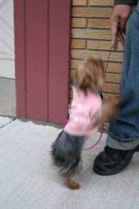 Baby shows off for the camera and does a sort of frenzied dance.