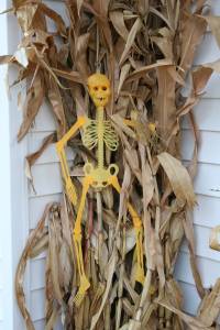 Halloween decorations add to the festive atmosphere at Lanae and Dale's party.