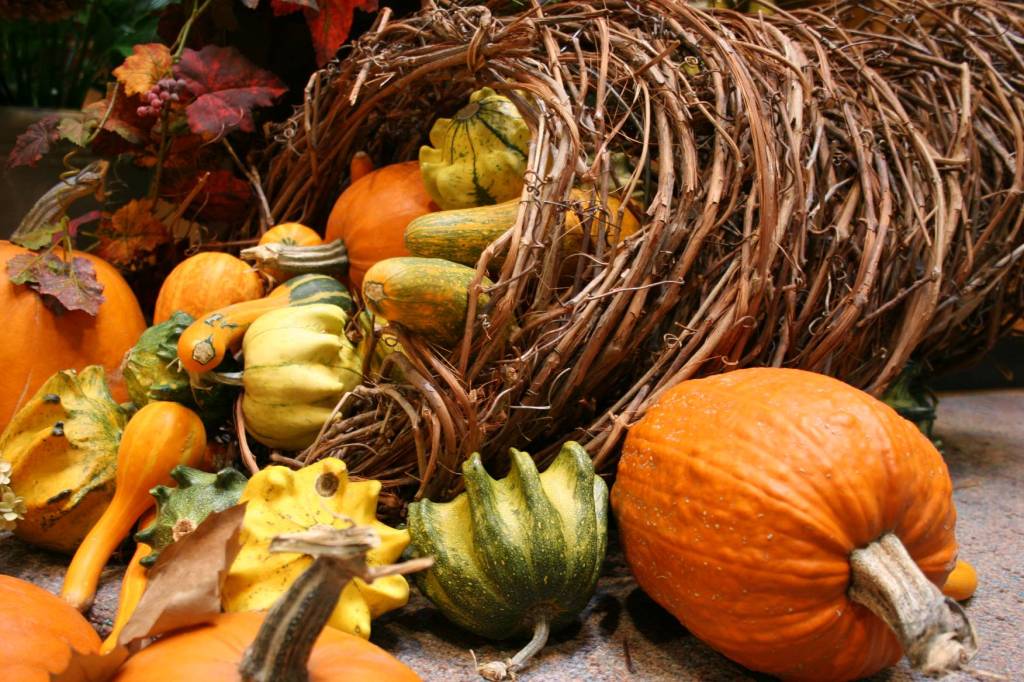 Thanksgiving display