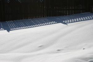 Snow fence