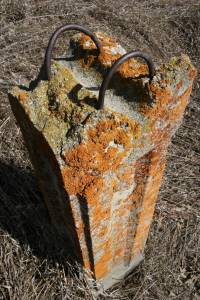 Hitching post close-up