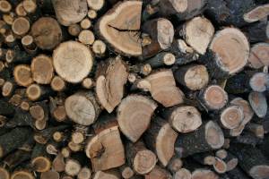 Stacked wood