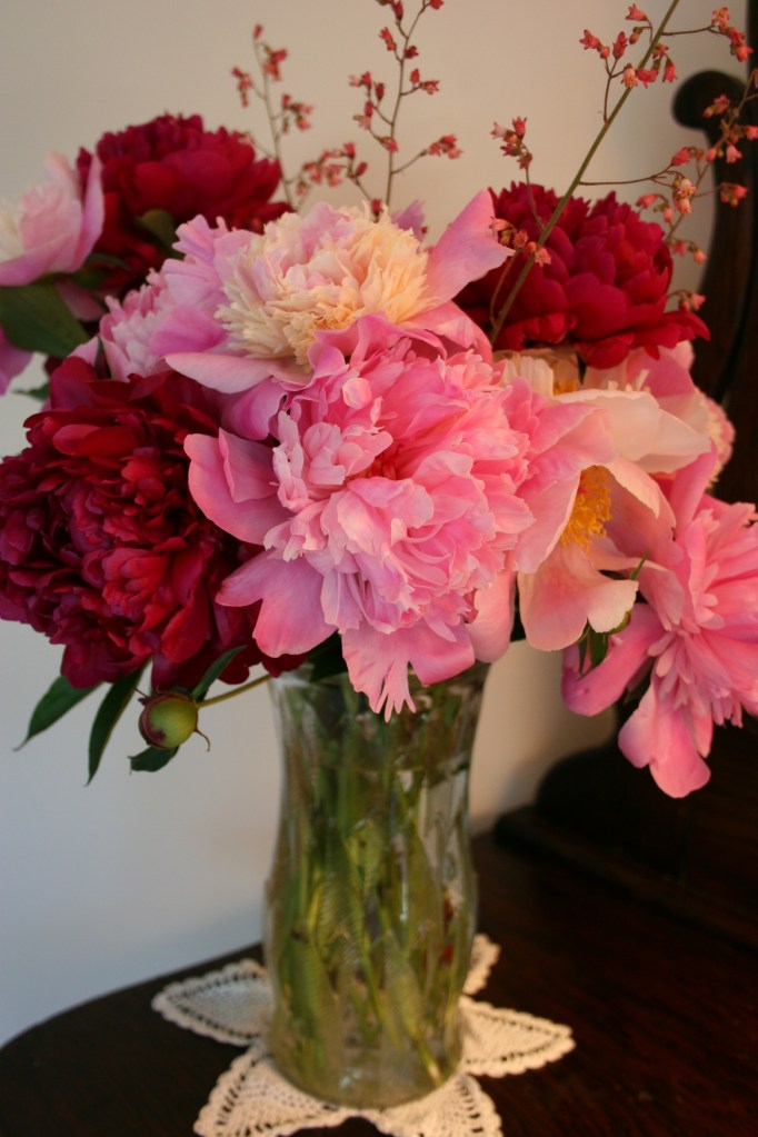 Peonies in a vase