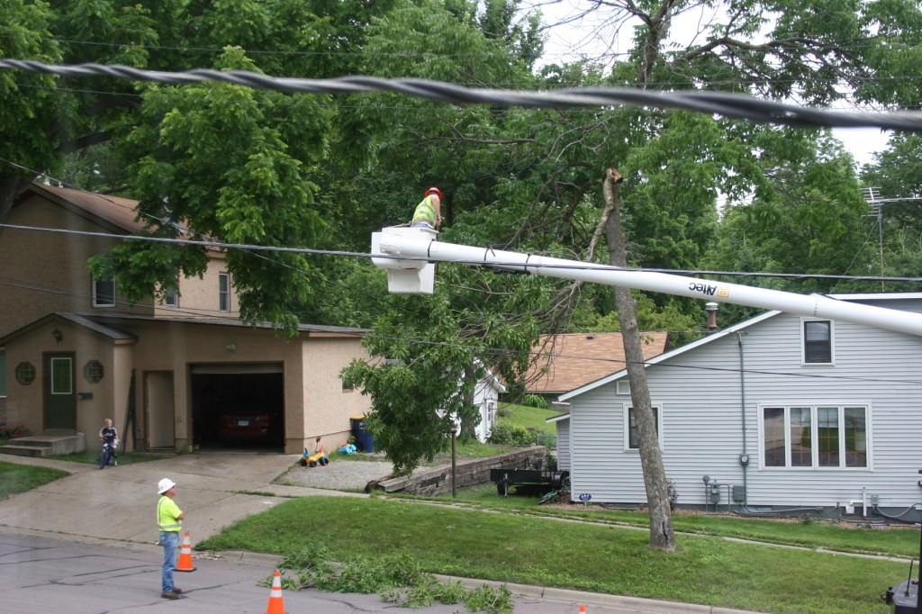 Tree on electrical wire