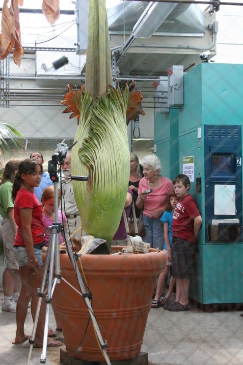A shot through a window into the viewing area shows Perry beginning to open.