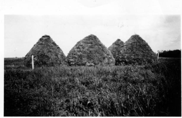 Hay or straw stacks in Sundown Township