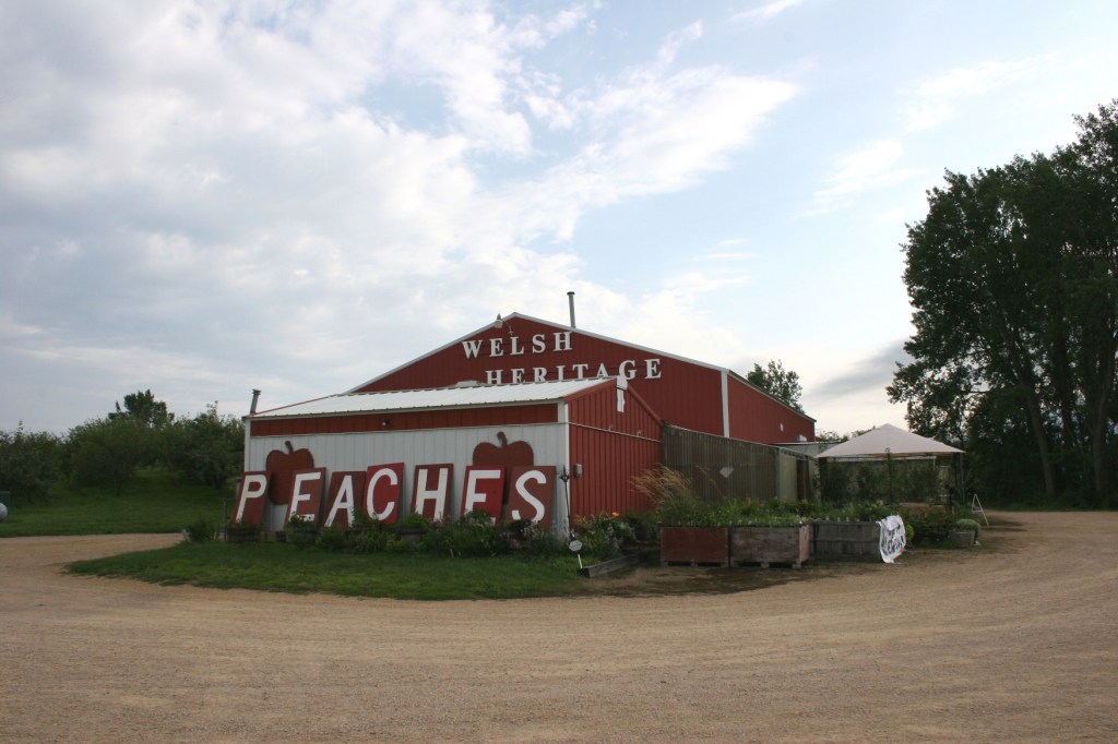 Welsh Heritage Farms Apple Orchard & Pie Shop near Lake Crystal