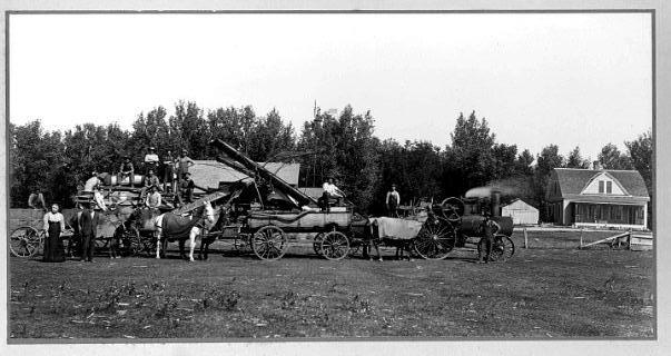 threshing on whittet place