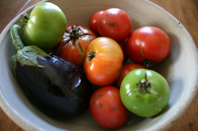 Some of the garden-fresh vegetables I got from my brother a few days ago.