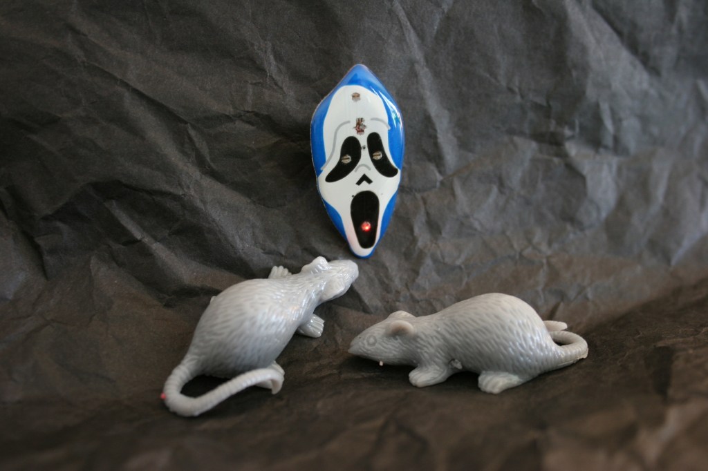 Halloween gift from Annie Mary Twente