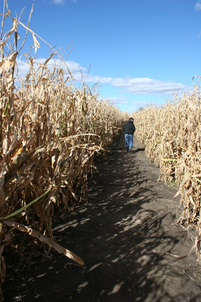 Be-A-Mazing corn maze