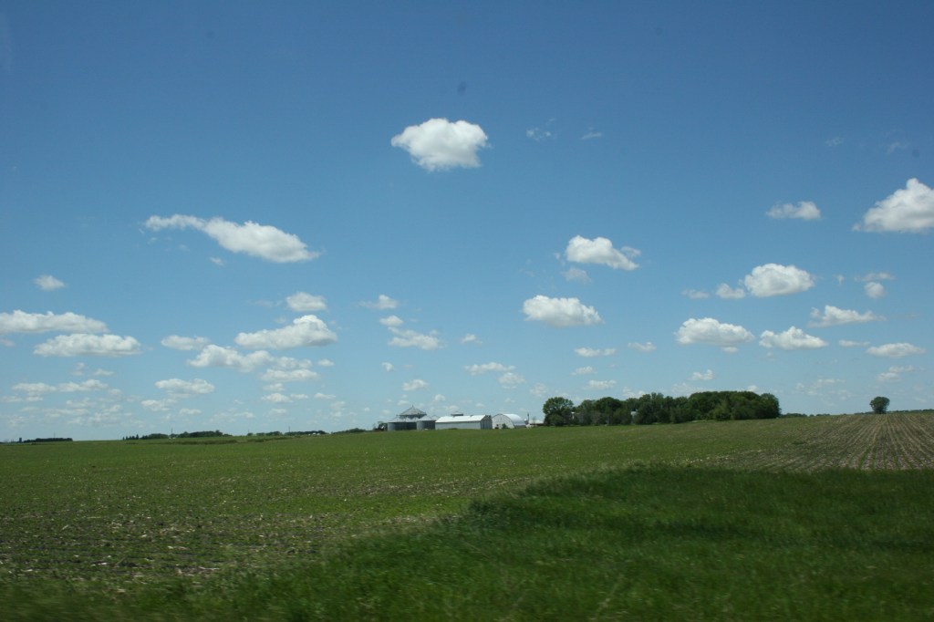 Redwood County farmland