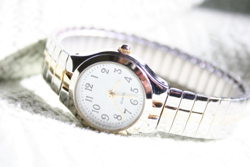 My WalMart watch photographs just like a Rolex, doesn't it? I did not edit this image, just in case you're wondering.