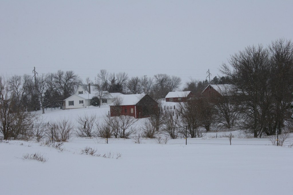 Farm place near Lamberton