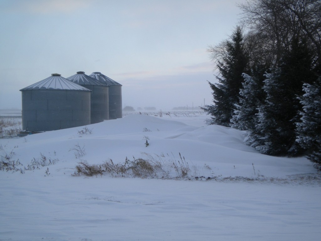 Snow surrounds bins