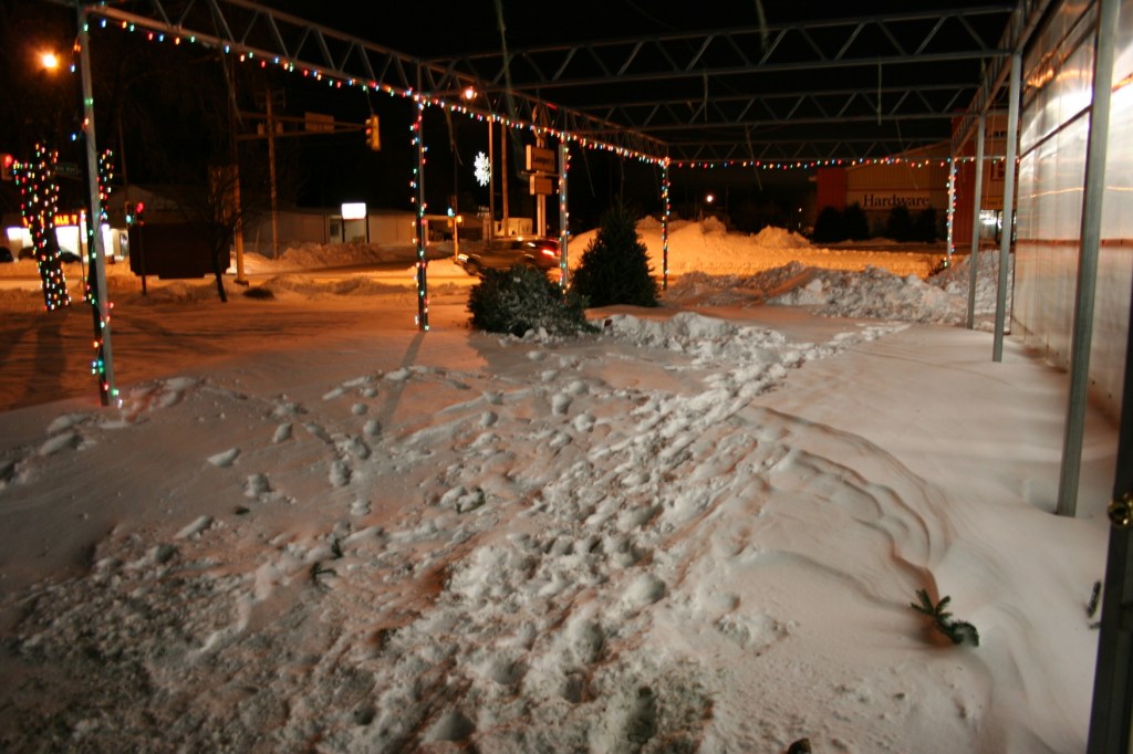 Nearly empty Christmas tree lot
