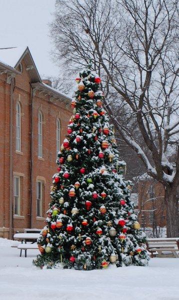 Outdoor Christmas tree