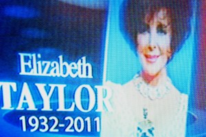 Liz Taylor