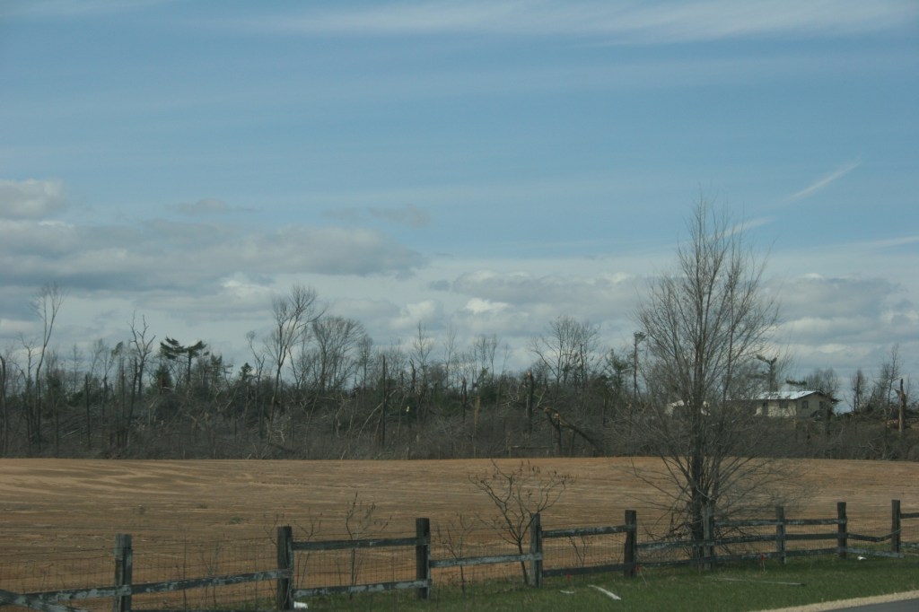 Arkdale storm damage 2