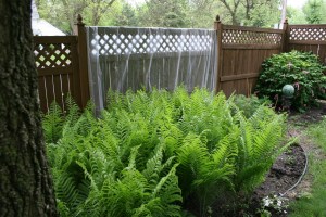 Fence covered w plastic