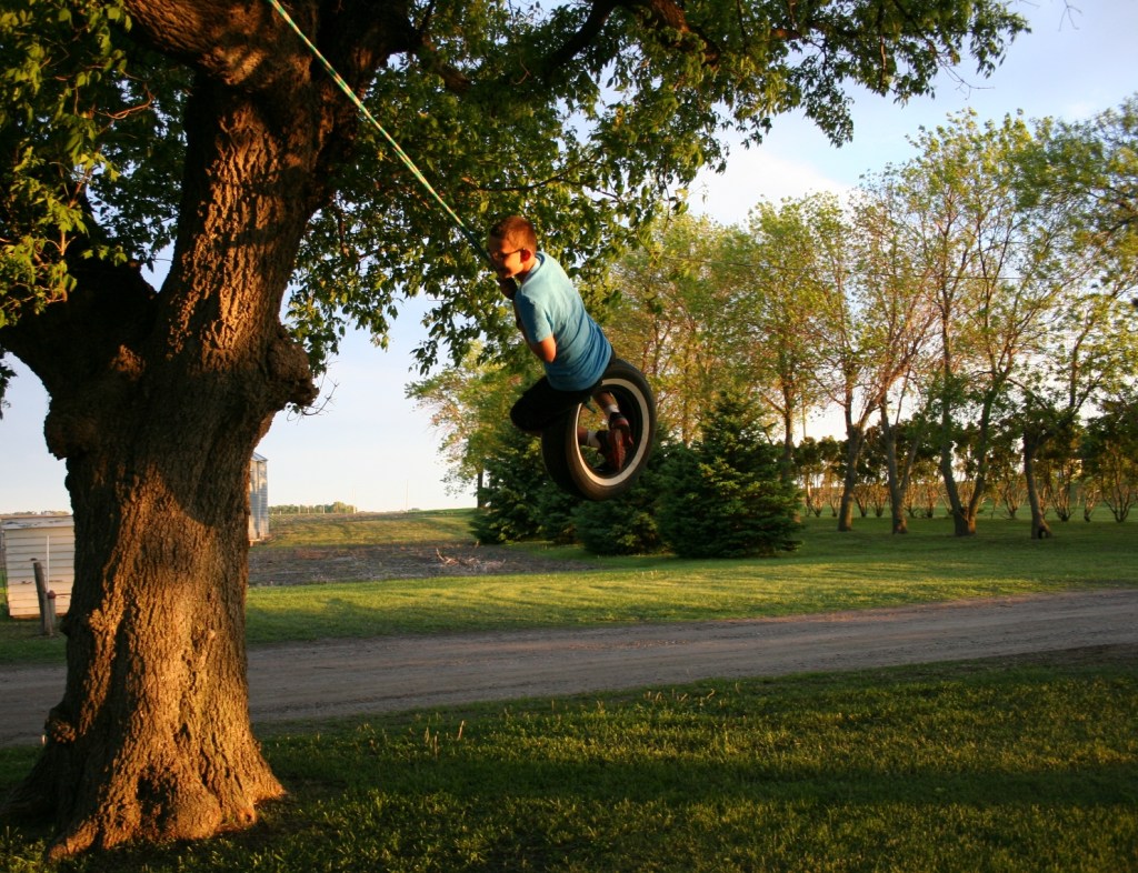 Tire swing 5