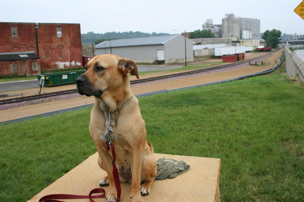 Riverfront Park, dog 1