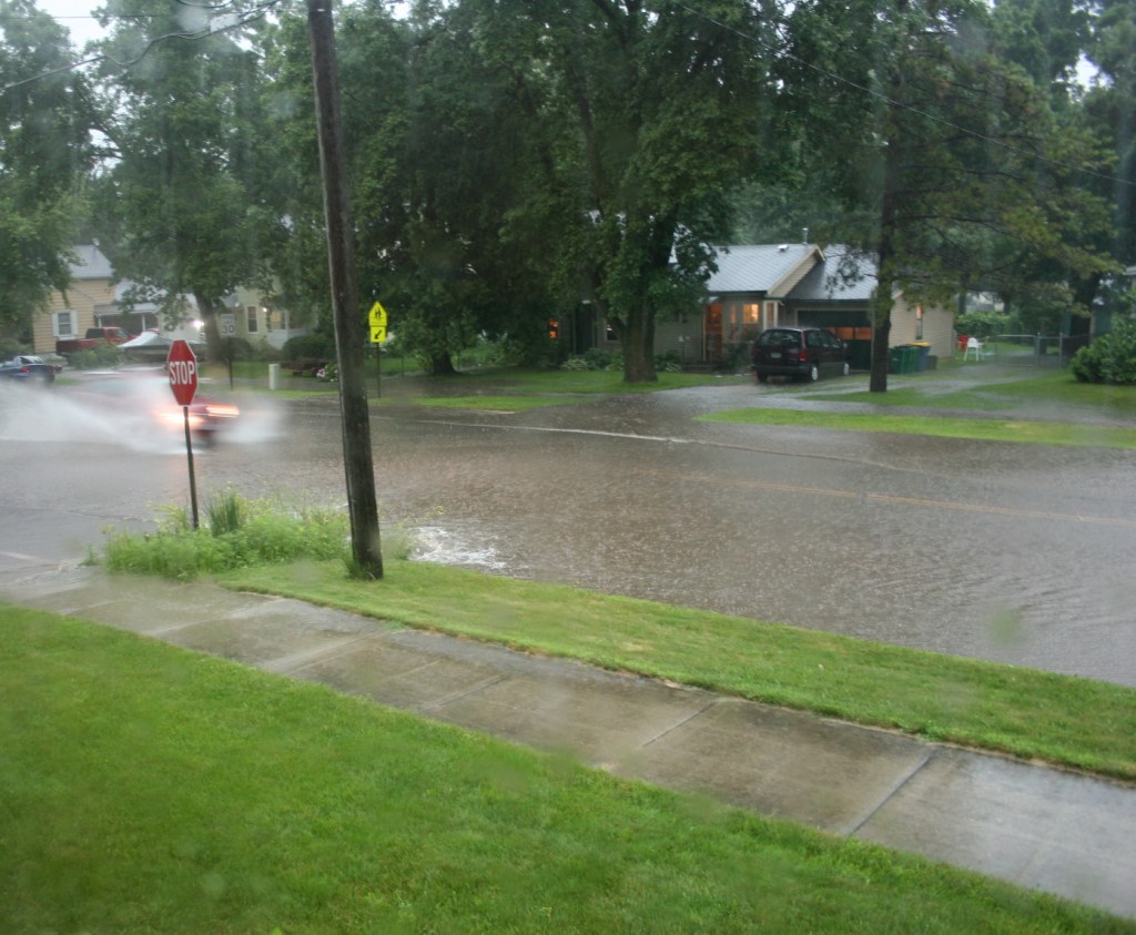 Rain on Willow St. 1