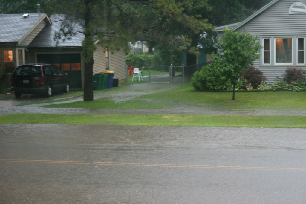 Rain on Willow St. 3
