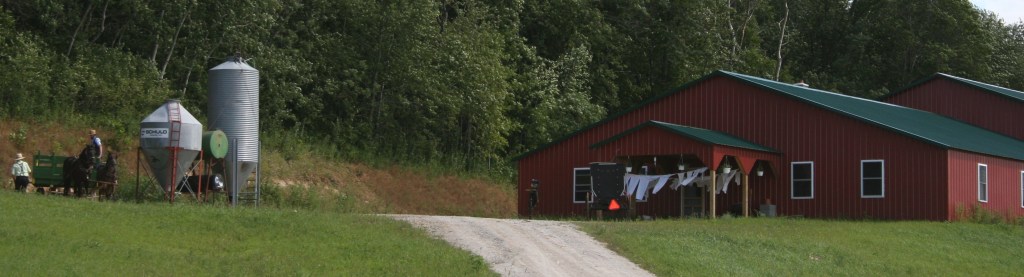 Amish by St. Charles
