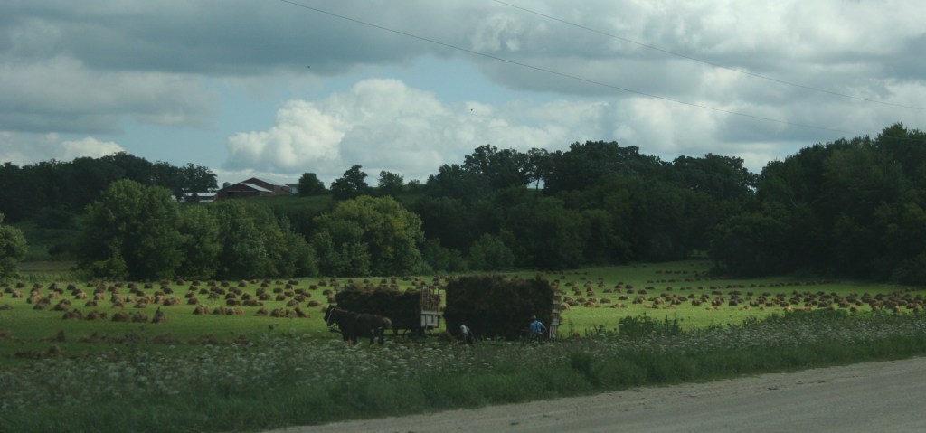 Amish putting up shocks by St. Charles