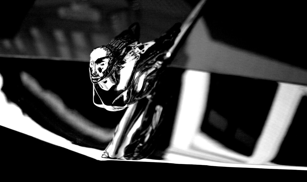 Cruise, hood ornament