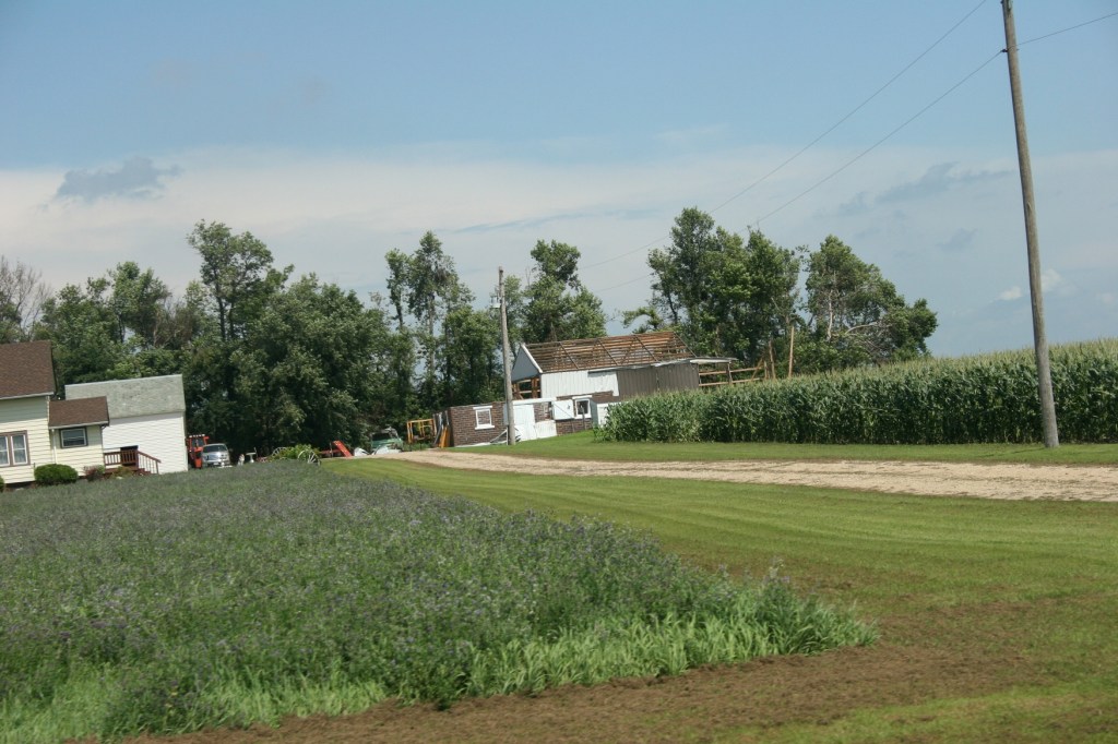 Farm- damage n of Belview