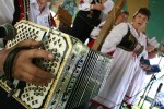 Fest, concertina