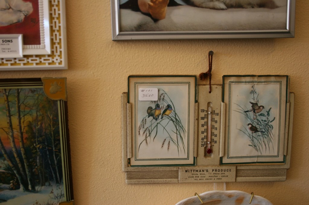 Rainbow Antiques, bird pix