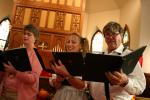 Fest, musical quartet