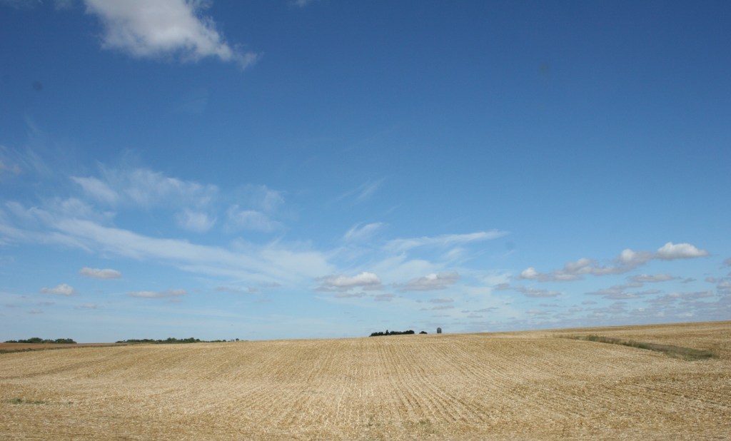 Harvest bn Nicollet & Courtland