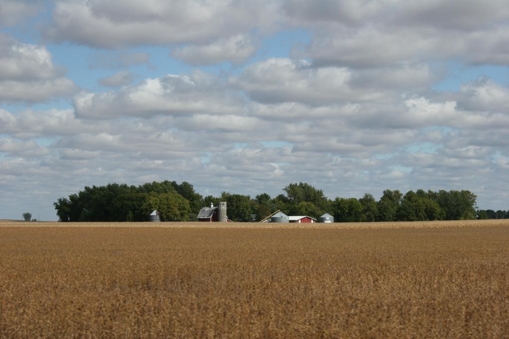 Harvest, farm bn Mankato & Nicollet