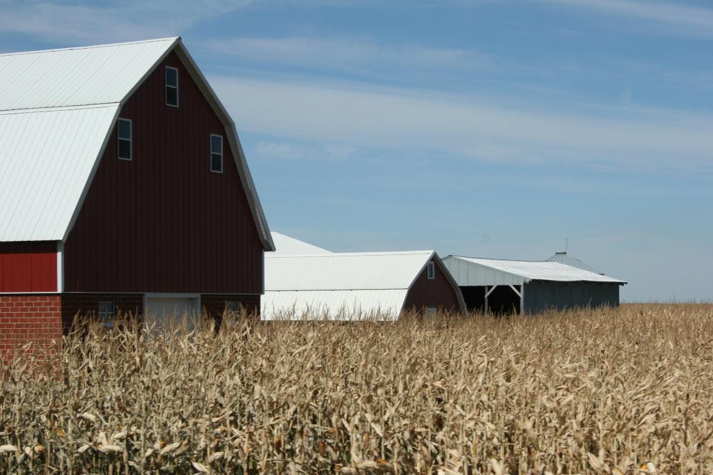 Harvest, red barn