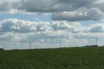 Utility poles by bean&nbsp;field