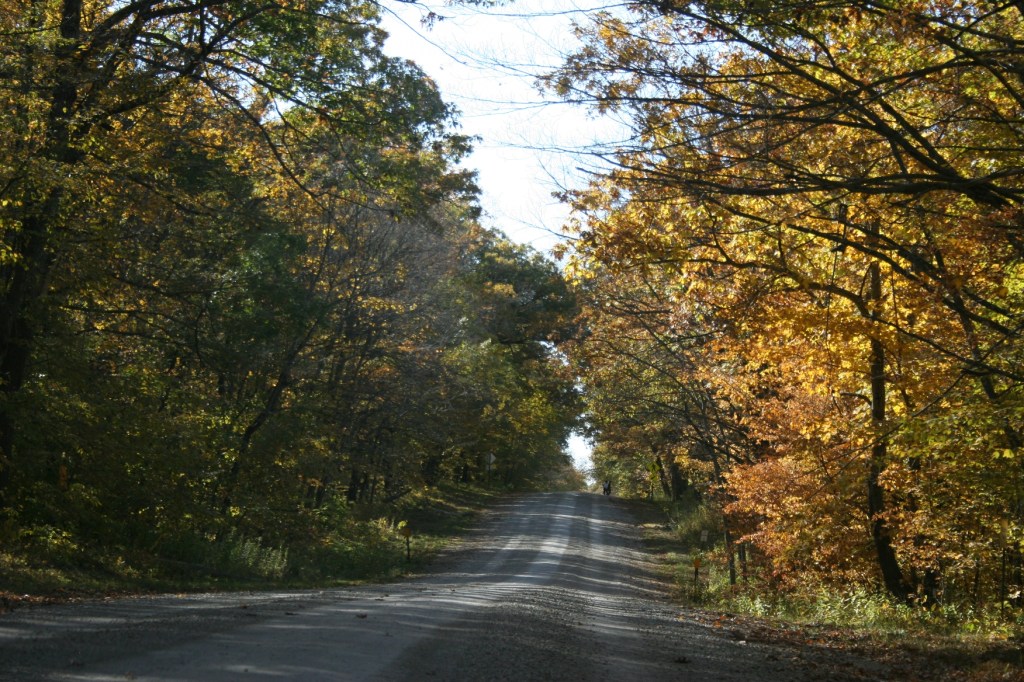 Big Woods, gravel road