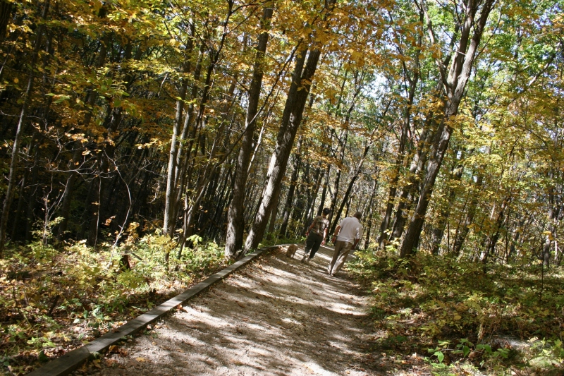 Well-kept and well-traveled paths take hikers deep into the Big Woods.