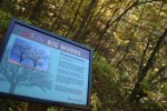 Big Woods, sign